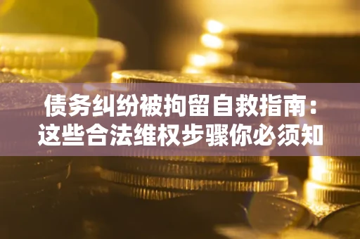 济南债务纠纷被拘留自救指南：这些合法维权步骤你必须知道！