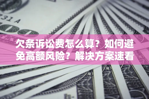 济南欠条诉讼费怎么算？如何避免高额风险？解决方案速看！
