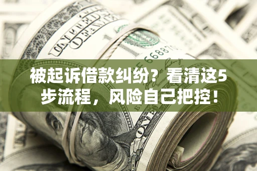 济南被起诉借款纠纷？看清这5步流程，风险自己把控！